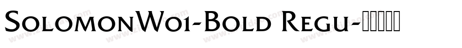 SolomonW01-Bold Regu字体转换